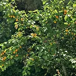 Panoramica Con Giardino A Riccione