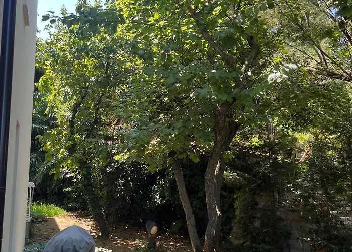 Panoramica Con Giardino A Riccione