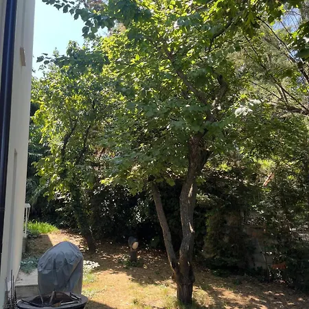 Panoramica Con Giardino A ريتشيوني