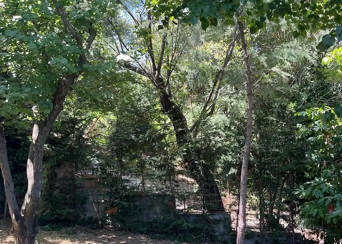 Villa Panoramica Con Giardino A *